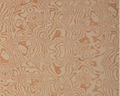 Texture